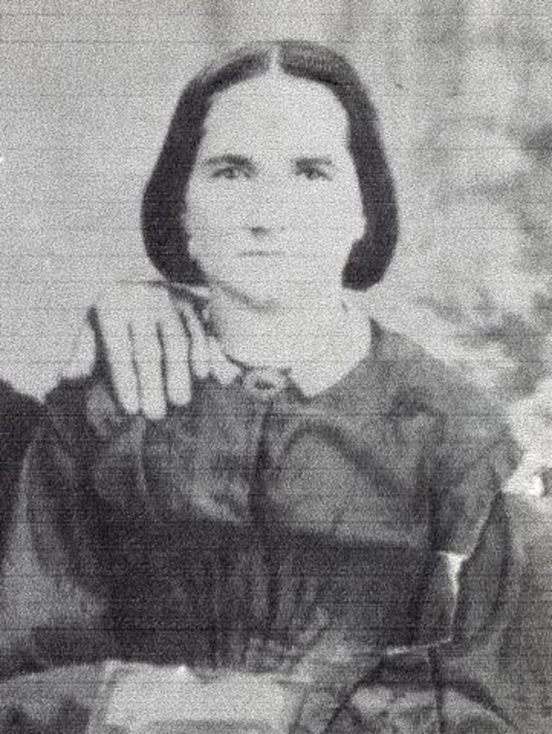 Cynthia Shephard (1828 - 1891) Profile